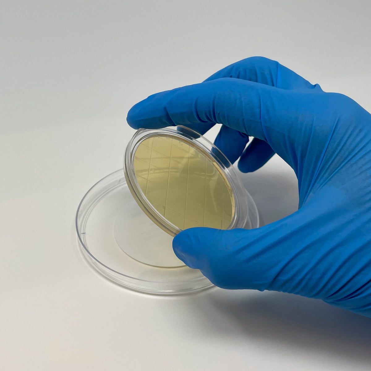 Enverify™ Surface Sampling Competency Kit, 5.7 cm dia for Contact Plat